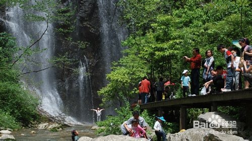 上海到张家界自助游