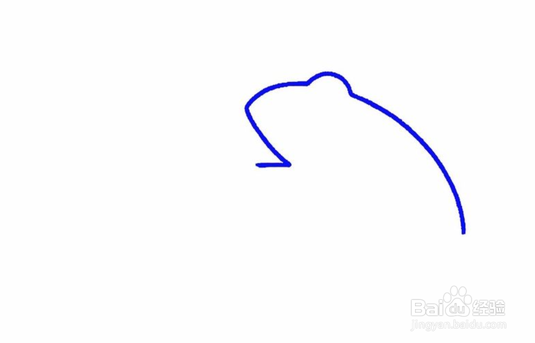 简笔画蹲着的青蛙怎么画？