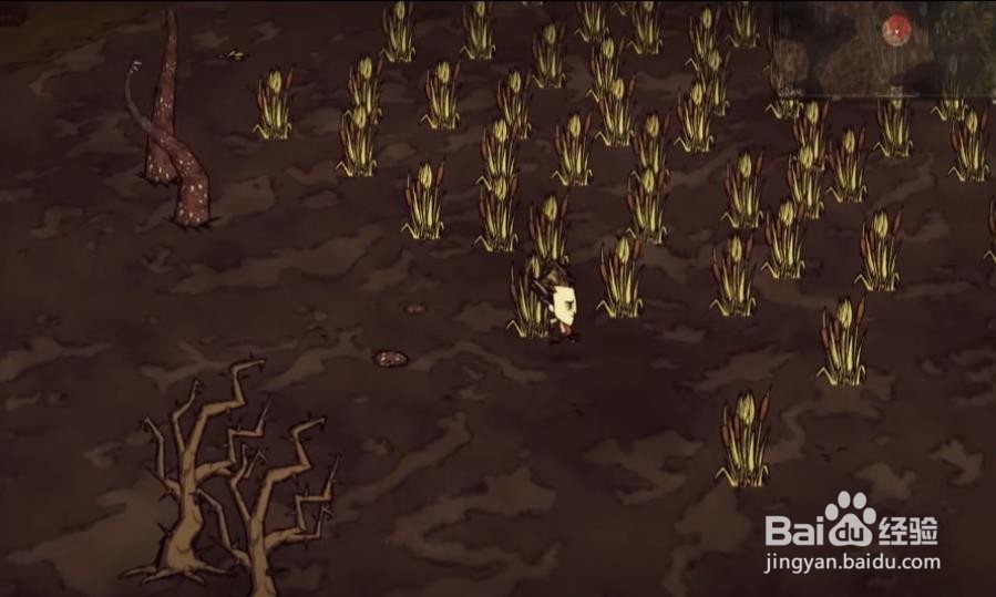 饥荒联机版地图彩蛋介绍