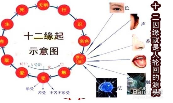十二因缘是什么？佛教十二因缘详解