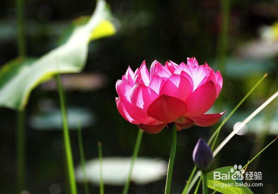 2021吉林化工学院函授招生办