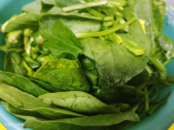 木耳平菇拌菠菜