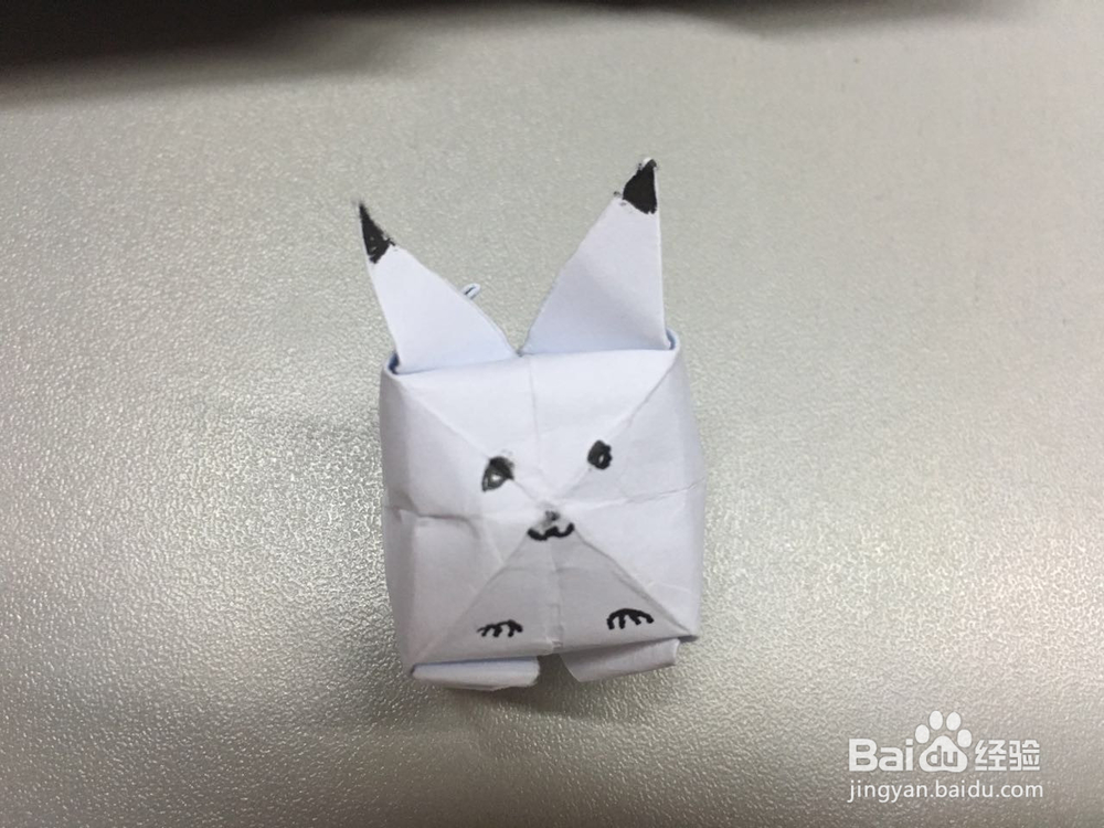 小萌物－－兔兔