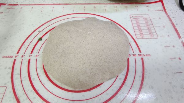 鸡蛋粉条小茴香全麦包子