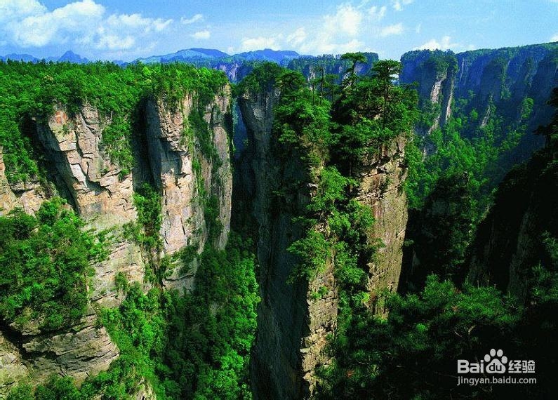 学生张家界旅游线路