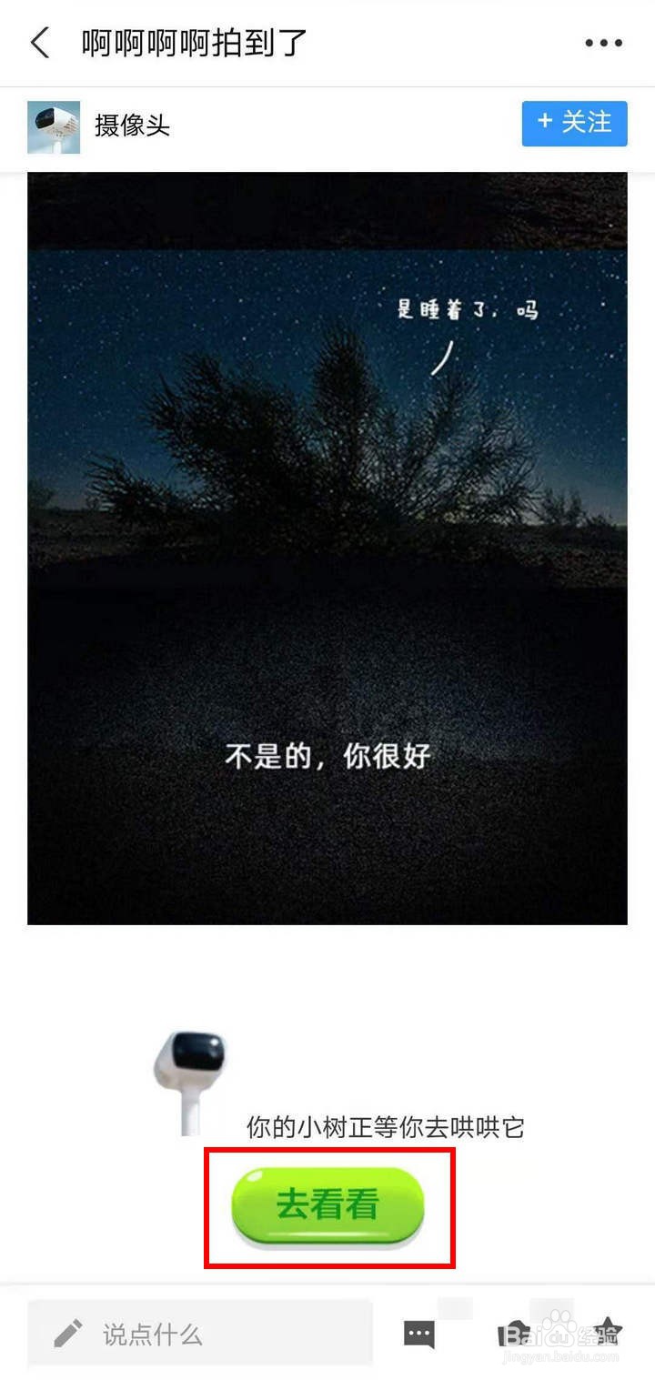 如何查看支付宝蚂蚁森林的熊猫照片和实景相册