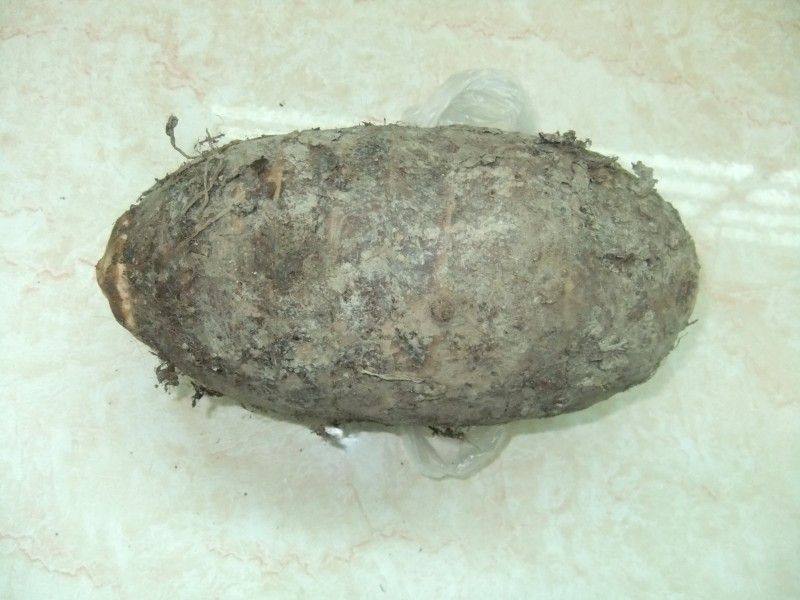 拔丝香芋，让你口齿留香!