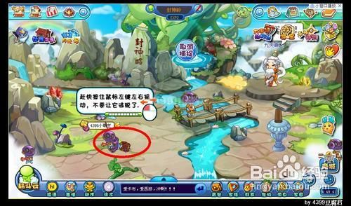 卡布西游大田鼠的食物