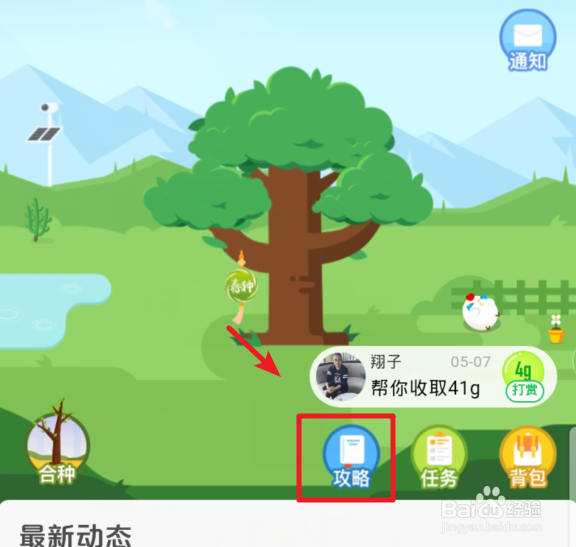 蚂蚁森林里需要能量最多的树种是什么?