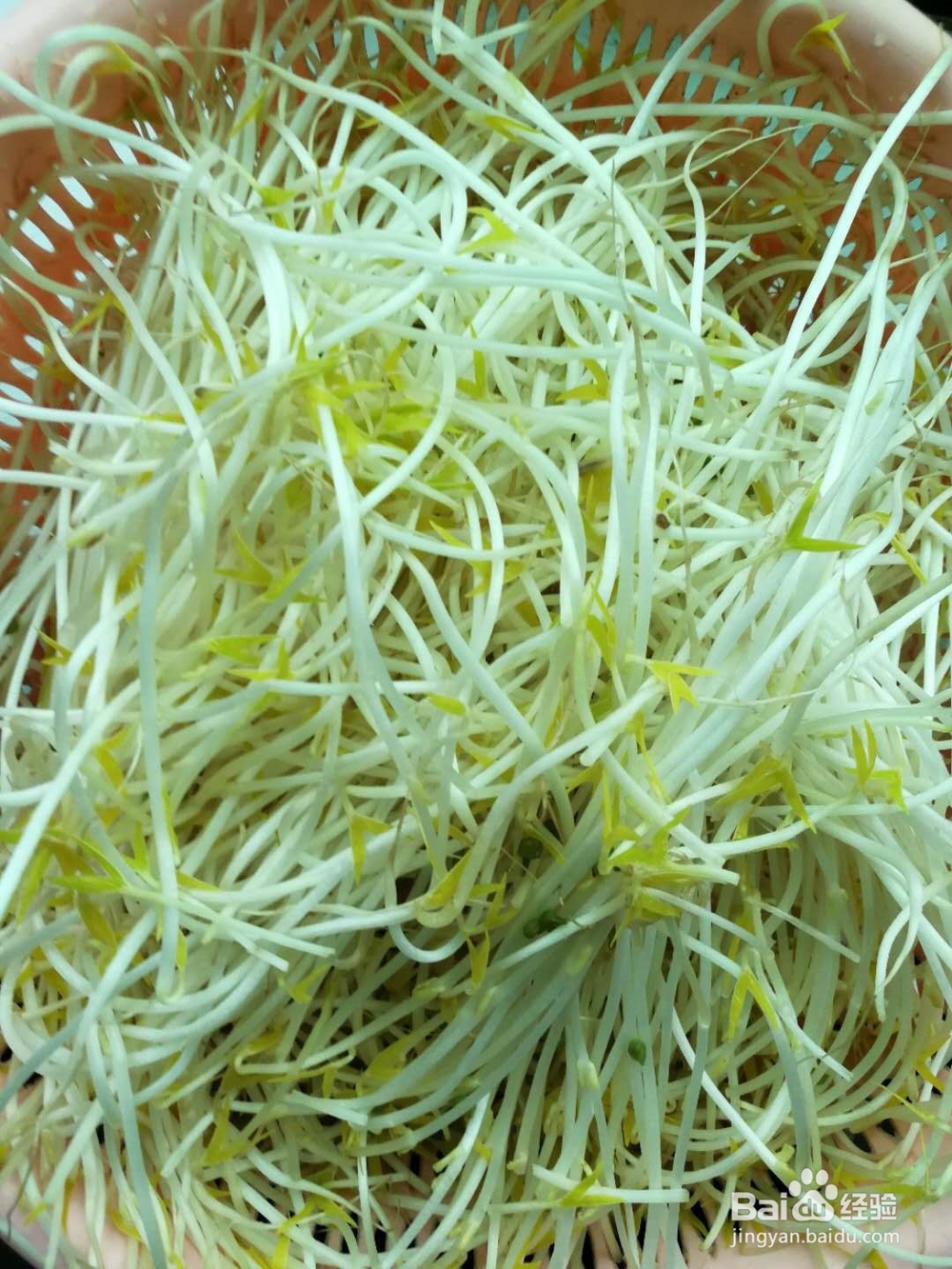 如何做豆芽好吃
