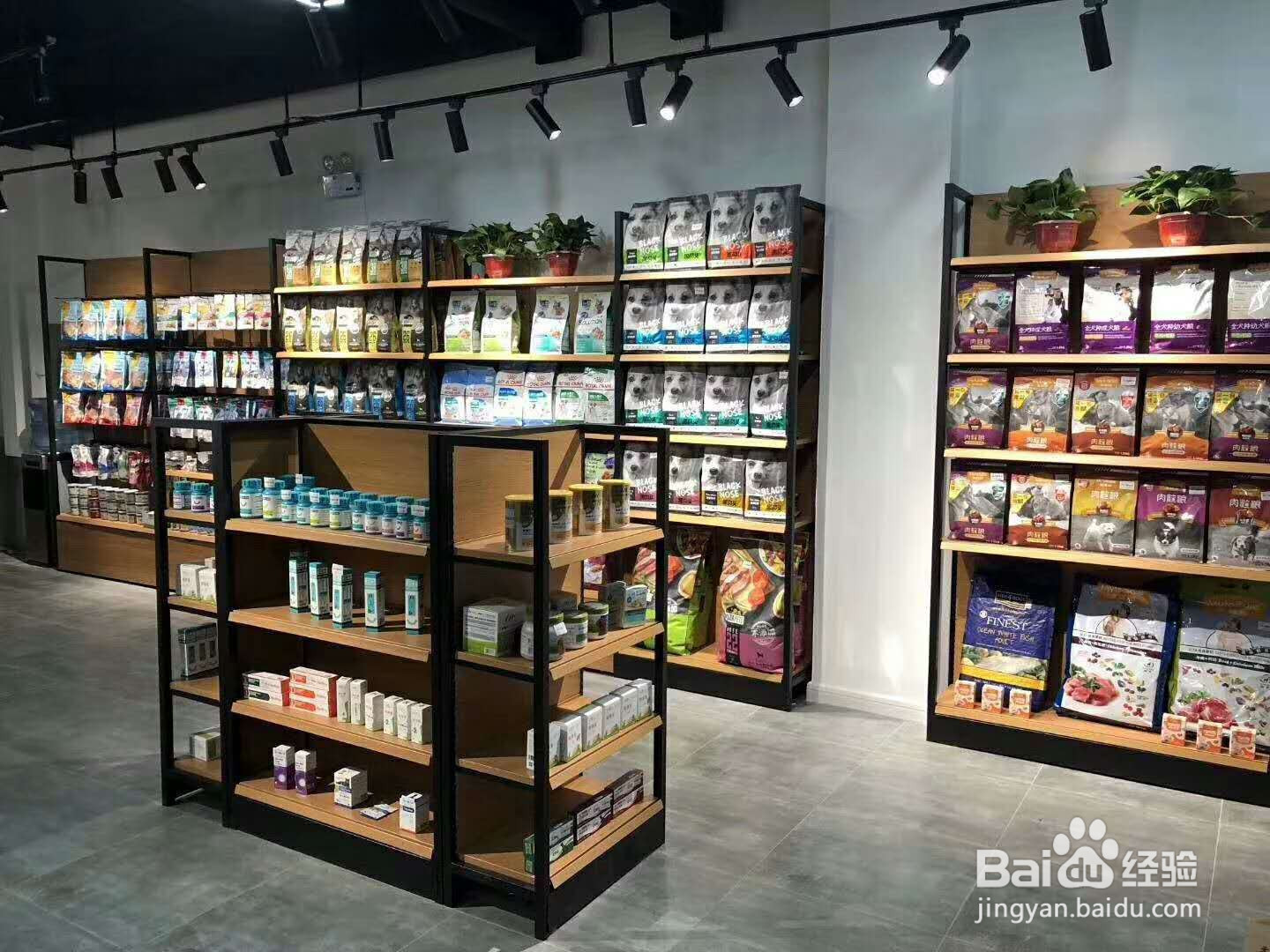 开宠物店的资金要多少