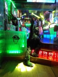 西塘之旅--笔者经验告诉你如何省钱!