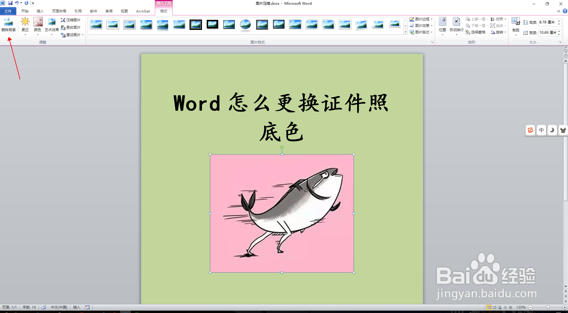 Word怎么更换证件照底色