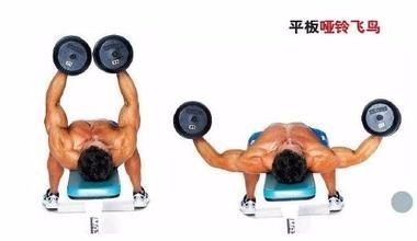 胸大肌的锻炼动作
