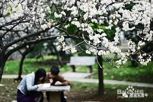 三月份去哪旅游