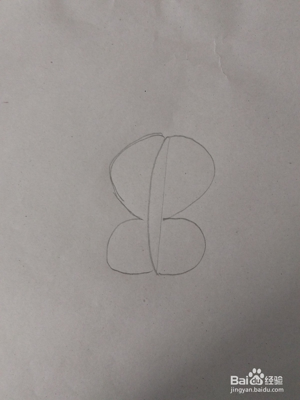 用字母B能画一个什么小动物