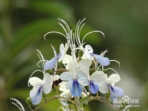 关于雅思考试的几点常识