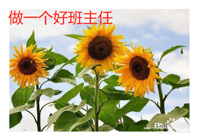 怎样做一个好的班主任