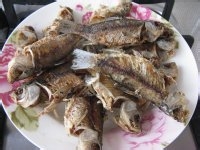 独流焖鱼的做法