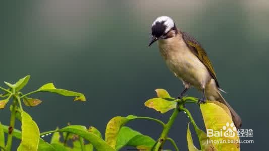 护眼小常识，3招缓解眼睛疲劳
