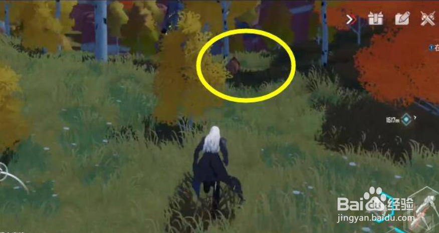 幻塔刷野猪攻略