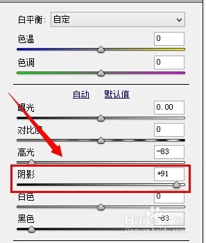 使用 Camera Raw 提高照片质量