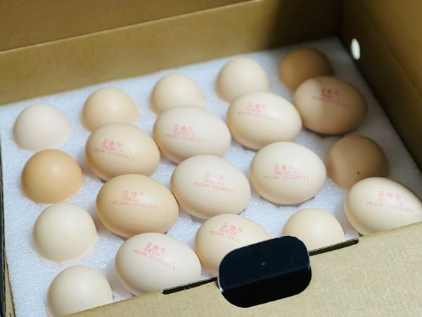 泰式酸辣捞汁虾仁巴沙鱼