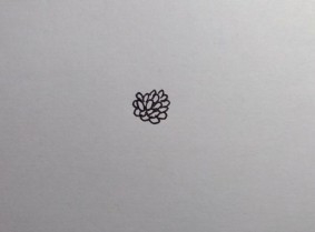 线描画：怎么画石榴花如何画石榴花（步骤）