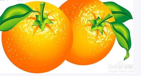 怎么挑选水果：[10]橙子