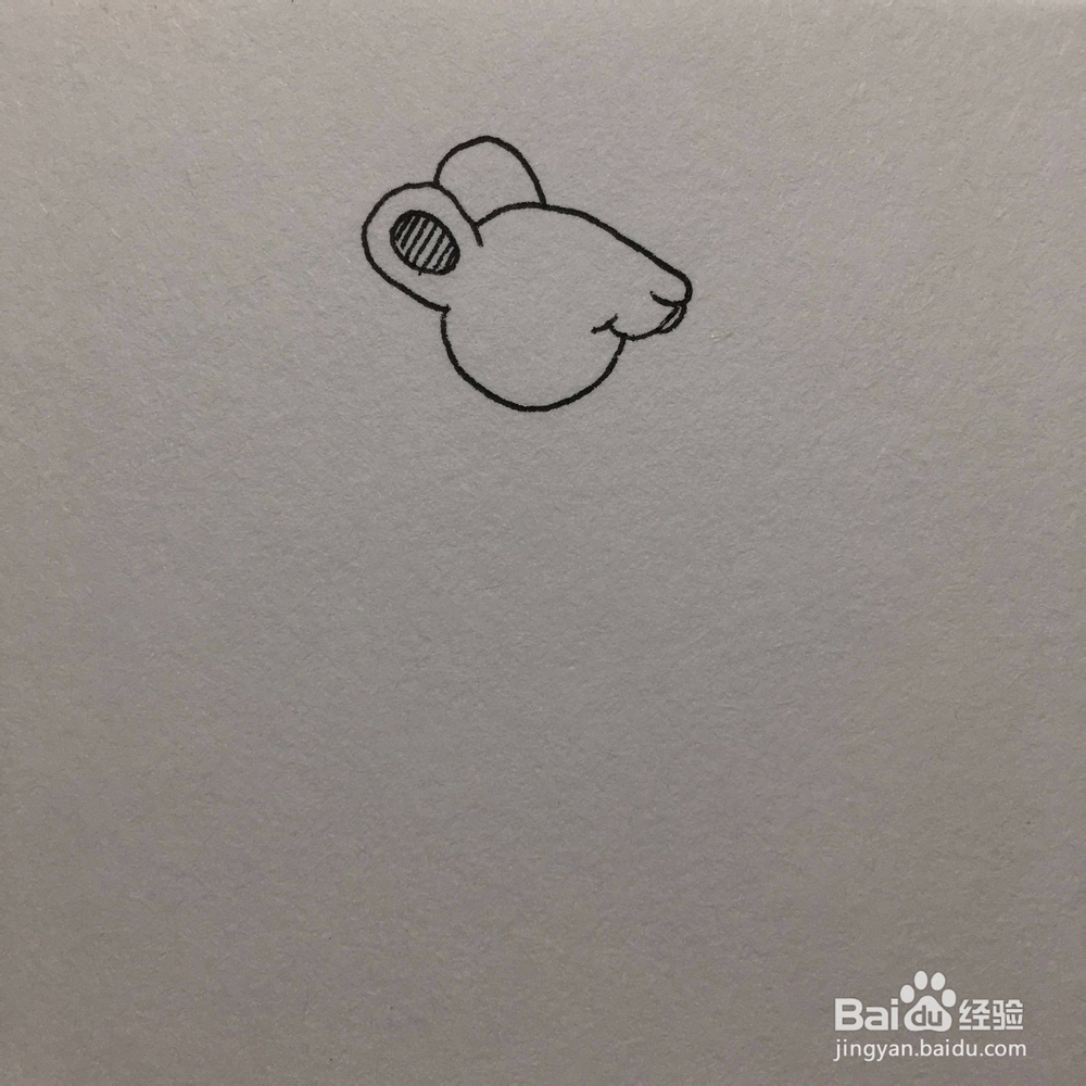 如何画一只玩溜冰鞋的小老鼠简笔画？