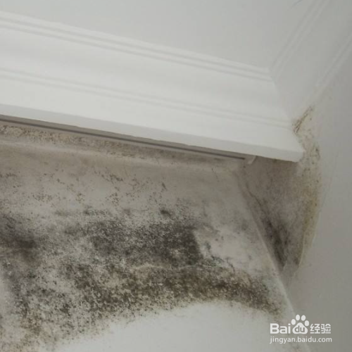 梅雨季节墙壁发霉怎么办