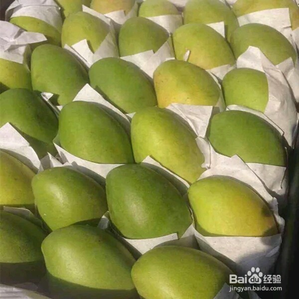 怎样才是正确的养生