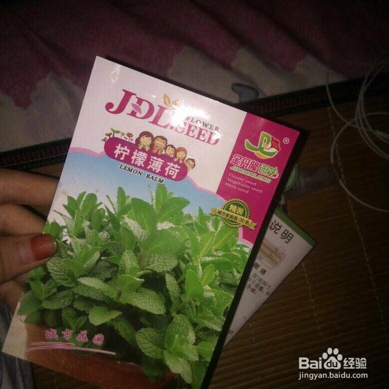 薄荷种子怎样播种呢