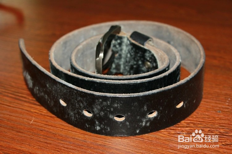 皮带发霉怎么处理 处理皮带发霉的方法