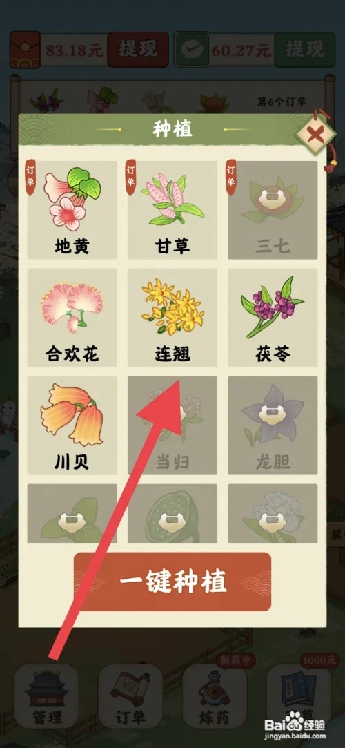 杏林世家如何种植连翘