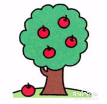 苹果树简笔画画法