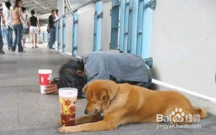 怎么预防受骗上当不为他人欺骗