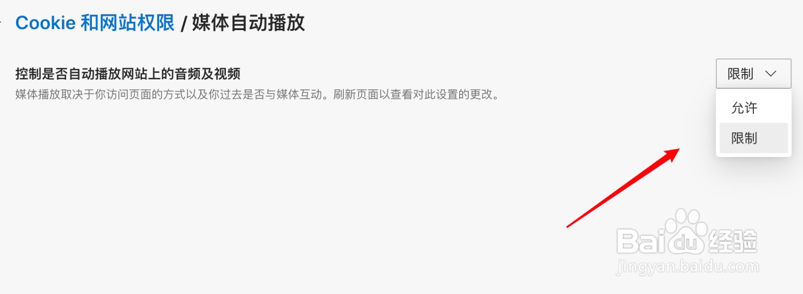mac Edge怎么禁止自动播放站点上的音视频