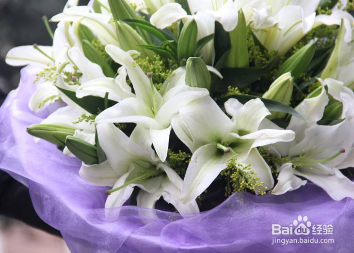 特别受欢迎的鲜花有哪些