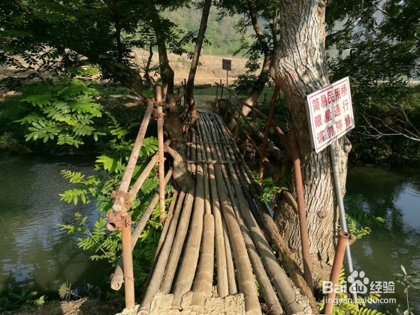 世外桃源—坝美旅游攻略