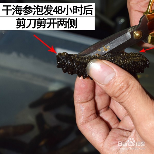 干海参这样泡发,让你事半功倍