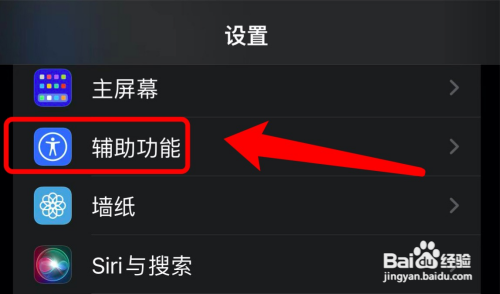 苹果在哪开启自动播放口述影像功能