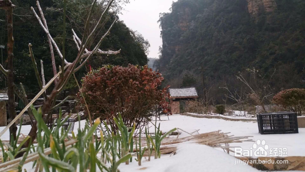 精准扶贫农家欢喜村民快乐记实