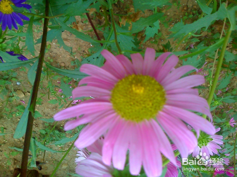 孩子怎样来控制自己珍惜时间