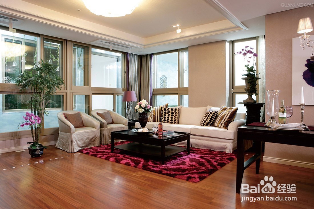 家里一定要摆放这几种绿植，保你财旺，运气旺