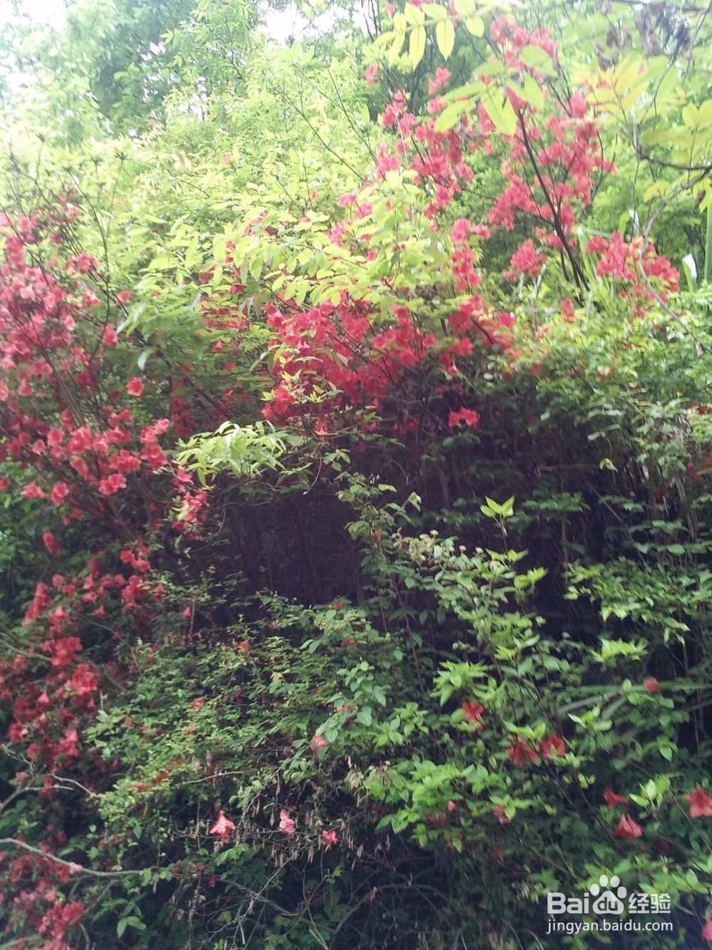 工作与学习的对立统一