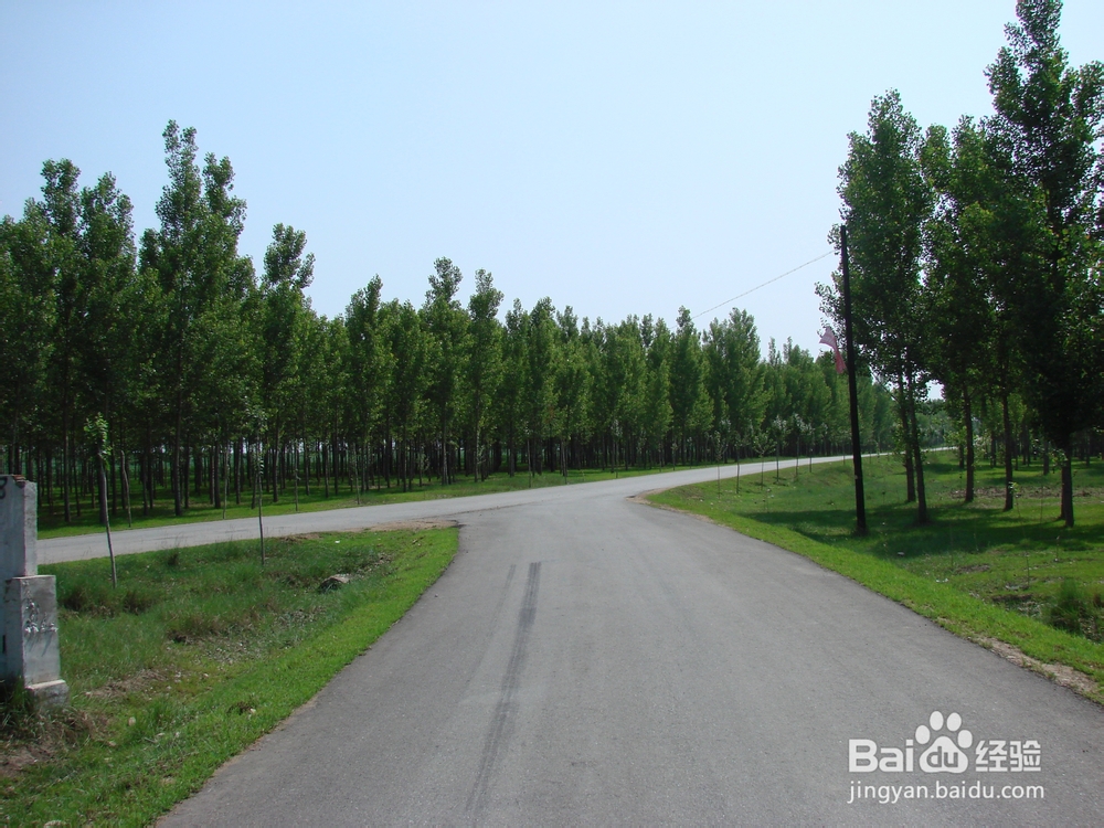 快乐骑行要点大略 -中老年朋友骑行经验