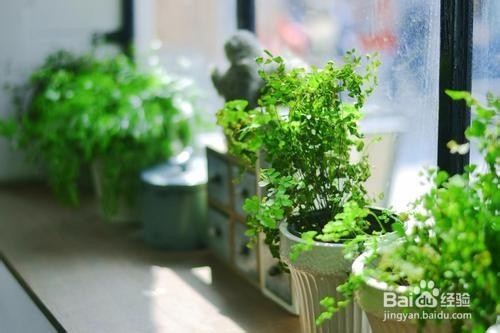 养老机构如何开展安宁疗护