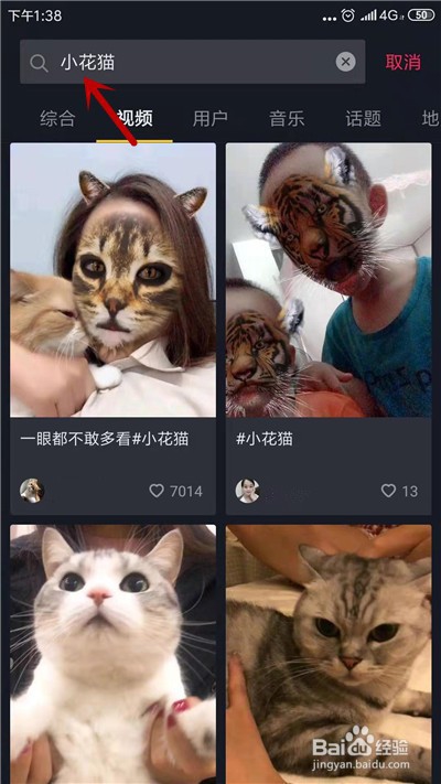 抖音小花猫特效在哪小花猫特效视频怎么拍