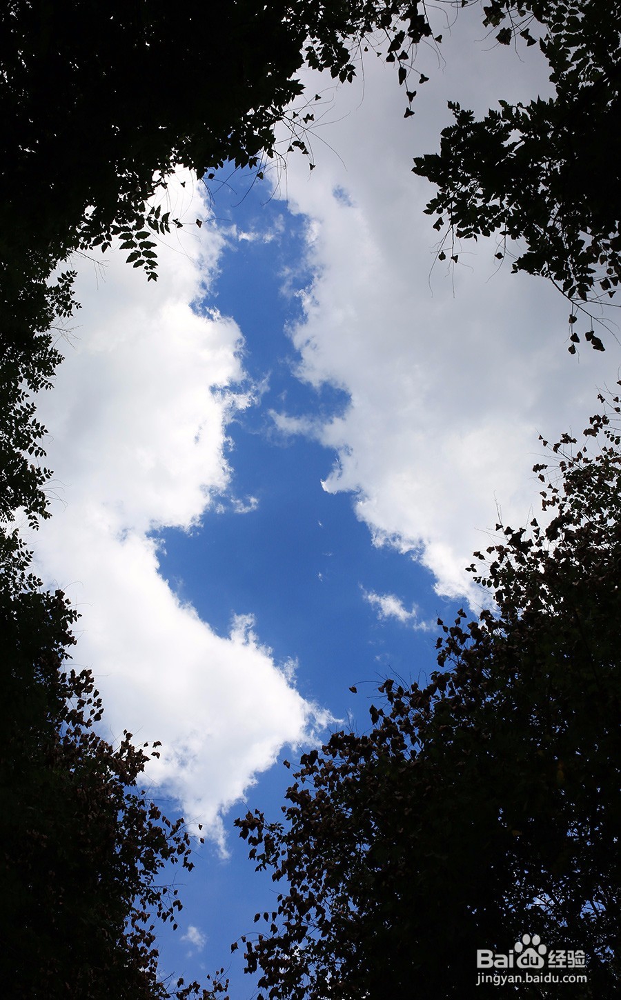 如何用定焦拍蓝天和白云